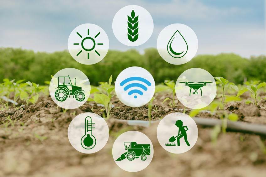 2) Smart Agriculture Solutions: In the agricultural sector, the integration of Physical AI‍ enables farmers to ‌leverage data for precision farming. Soil sensors and ‍drones equipped with AI can assess crop health, optimize water usage, and automate planting and ‌harvesting, enhancing sustainability and maximizing yields